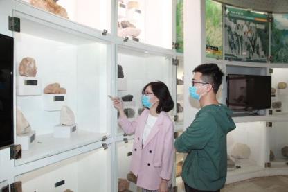 Bảo tàng Quảng Ninh: Nhiều điều thú vị cần khám phá