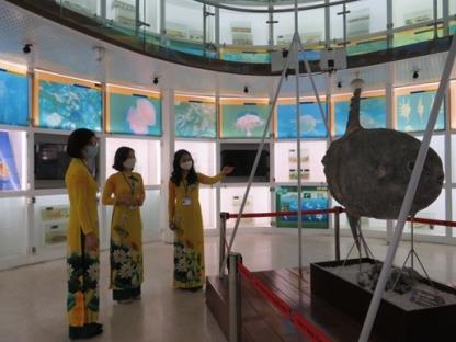 Bảo tàng Quảng Ninh hưởng ứng 