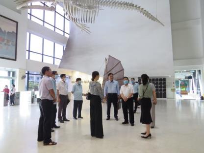 Đoàn Giám sát của Ủy ban Văn hóa, Giáo dục, Thanh niên, Thiếu niên,  Nhi đồng của Quốc hội khảo sát thực tế tại Bảo tàng Quảng Ninh