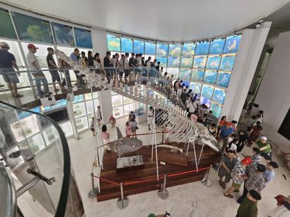 Bùng nổ lượng khách tham quan du lịch đến Bảo tàng Quảng Ninh! 
